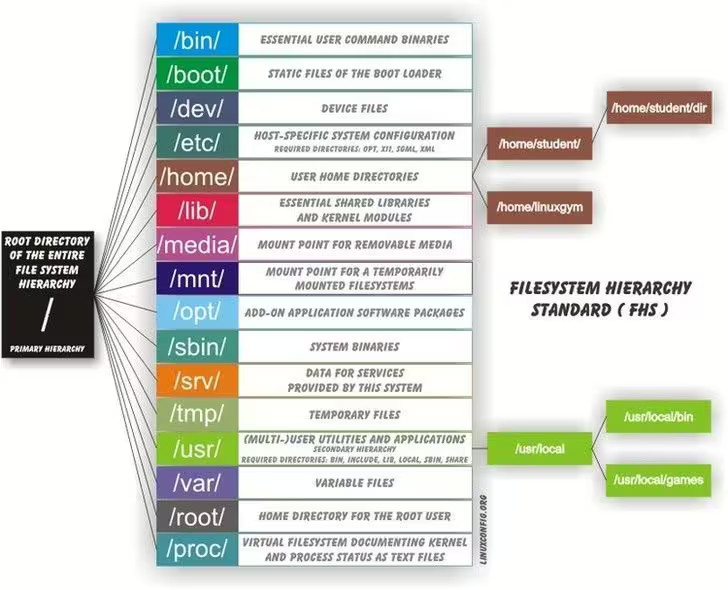 A graphical representation of the Linux filesystem with the root directory as the base, and other directories under it as descendants.