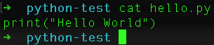output of cat hello.py in terminal