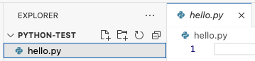 Viewing the new hello.py file in VSCode