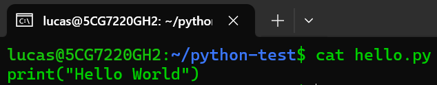 output of cat hello.py in terminal