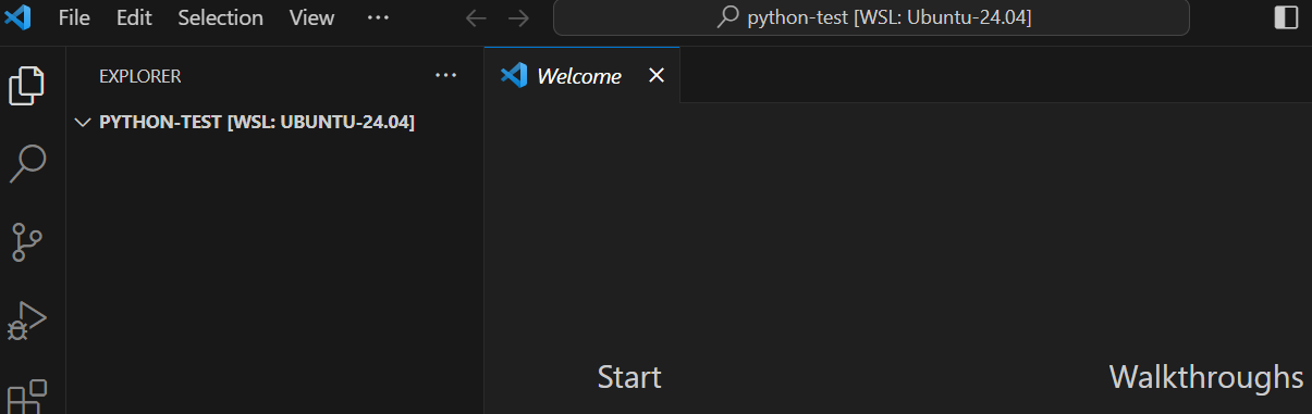 VSCode running on an empty python directory