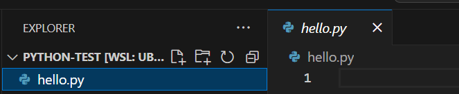 Viewing the new hello.py file in VSCode