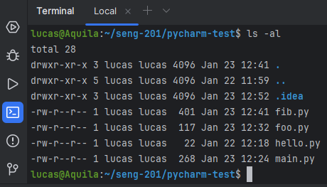 PyCharm's integrated terminal