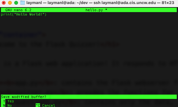 the nano text editor