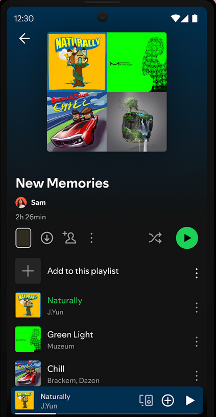 Spotify playlist screen