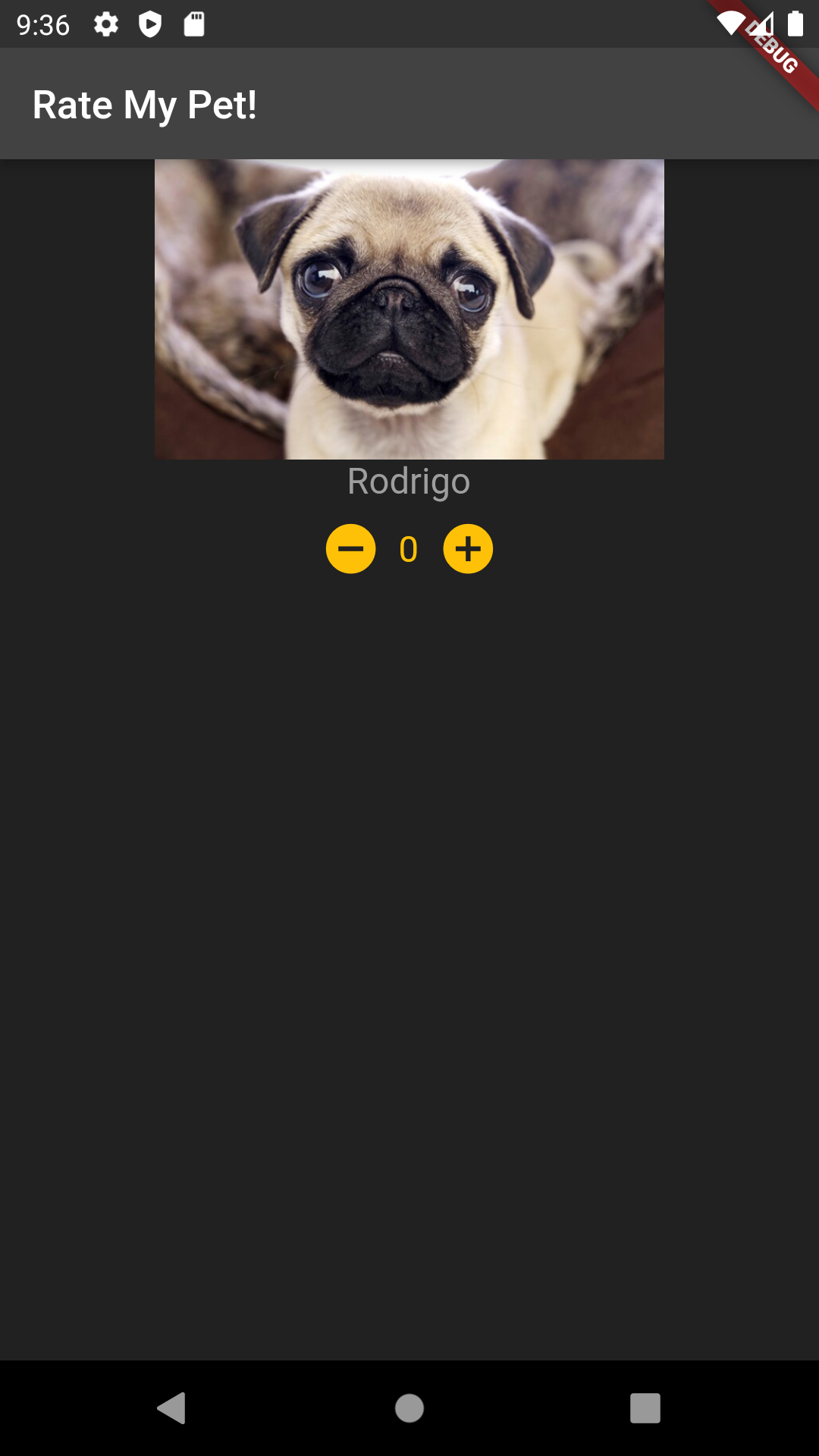 app with pug picture and placehold