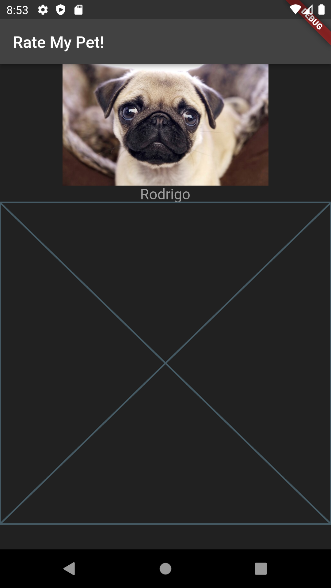 app with pug picture and placeholder